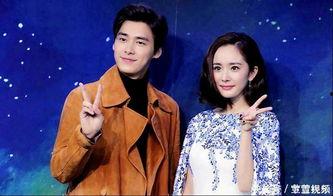 杨幂李易峰最新爆料,揭秘娱乐圈背后的秘密与情感纠葛