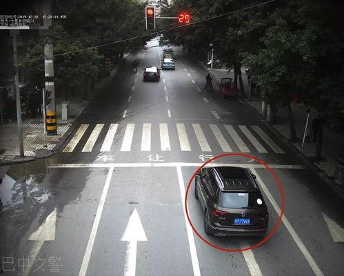 巴中交通事故最新爆料,悲剧再现，真相令人痛心！